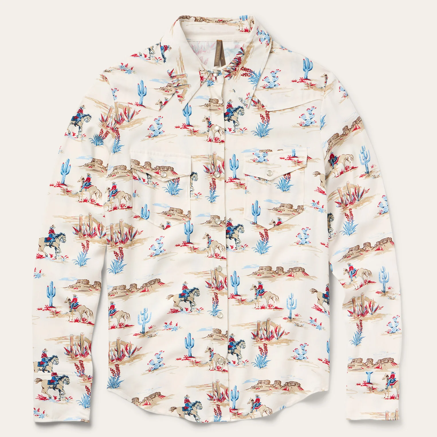 Desert Trail Print Western Shirt