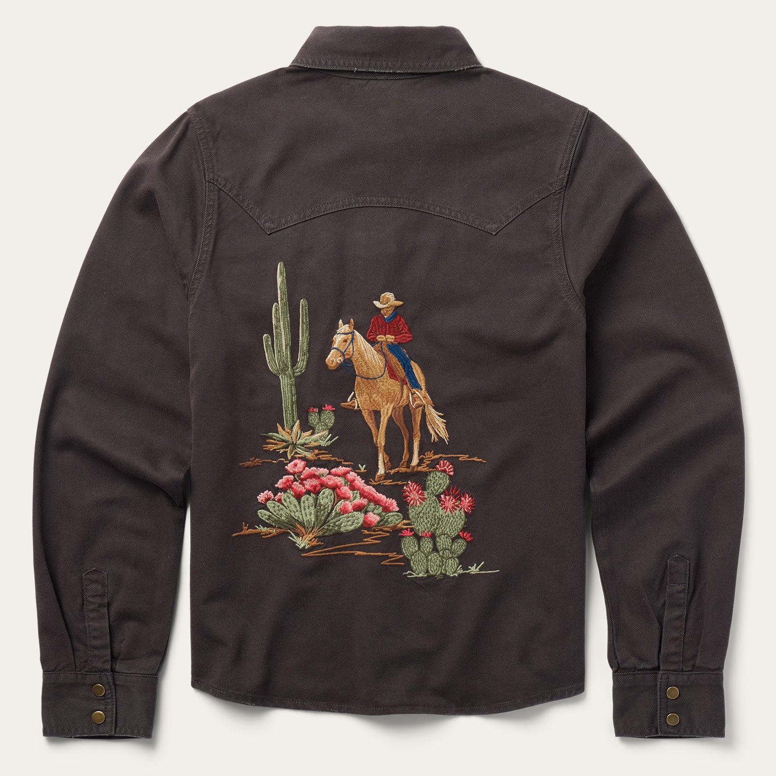 Desert Scene Embroidered Western Shirt