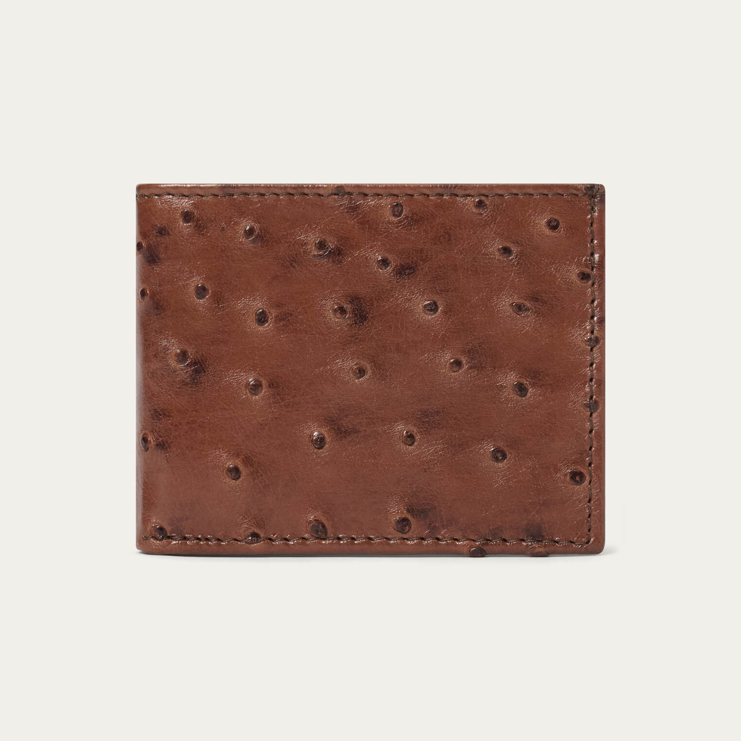 Ostrich Bi-Fold Wallet