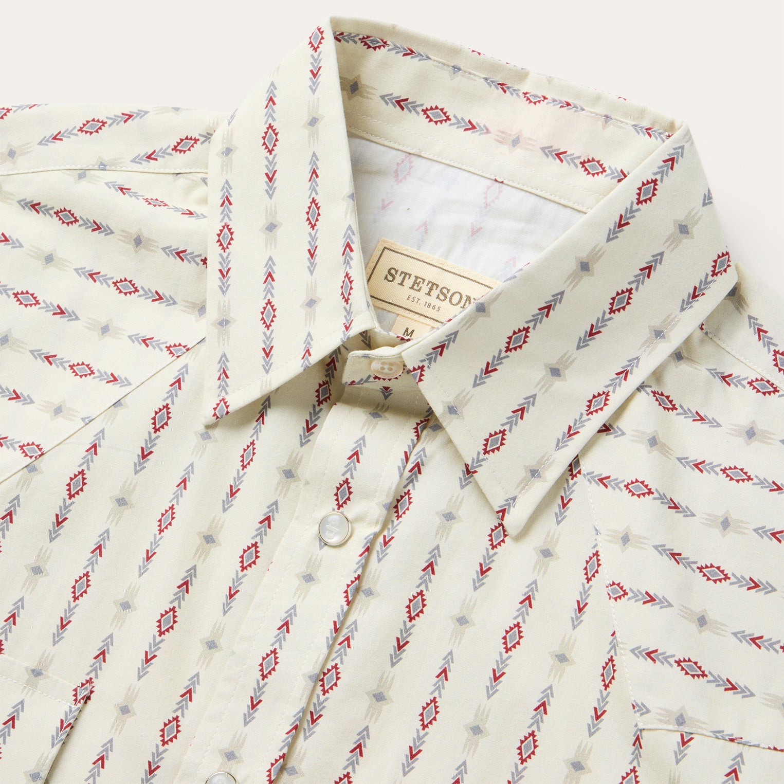 Southwest Stripe Western Shirt - Image 3
