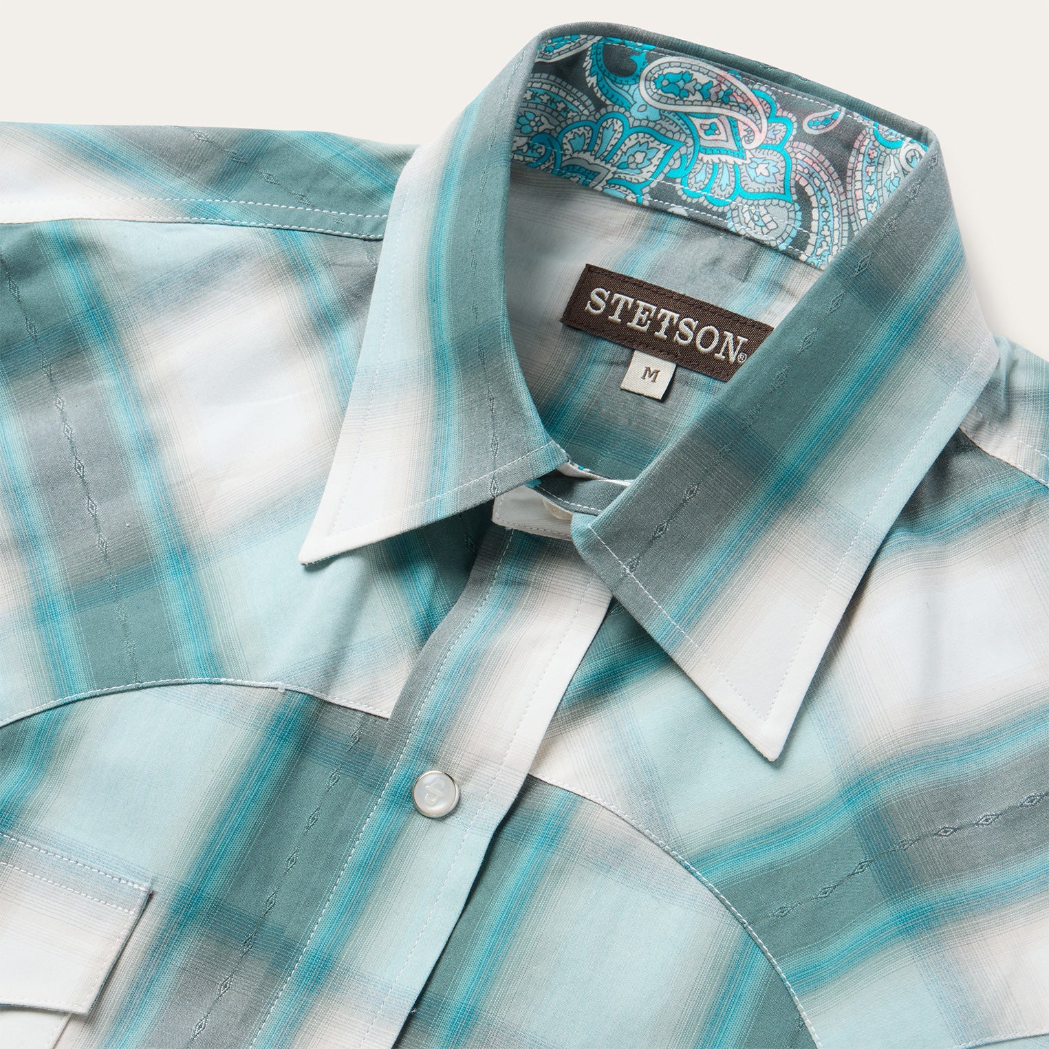 Bluebird Plaid Western Shirt - Image 4
