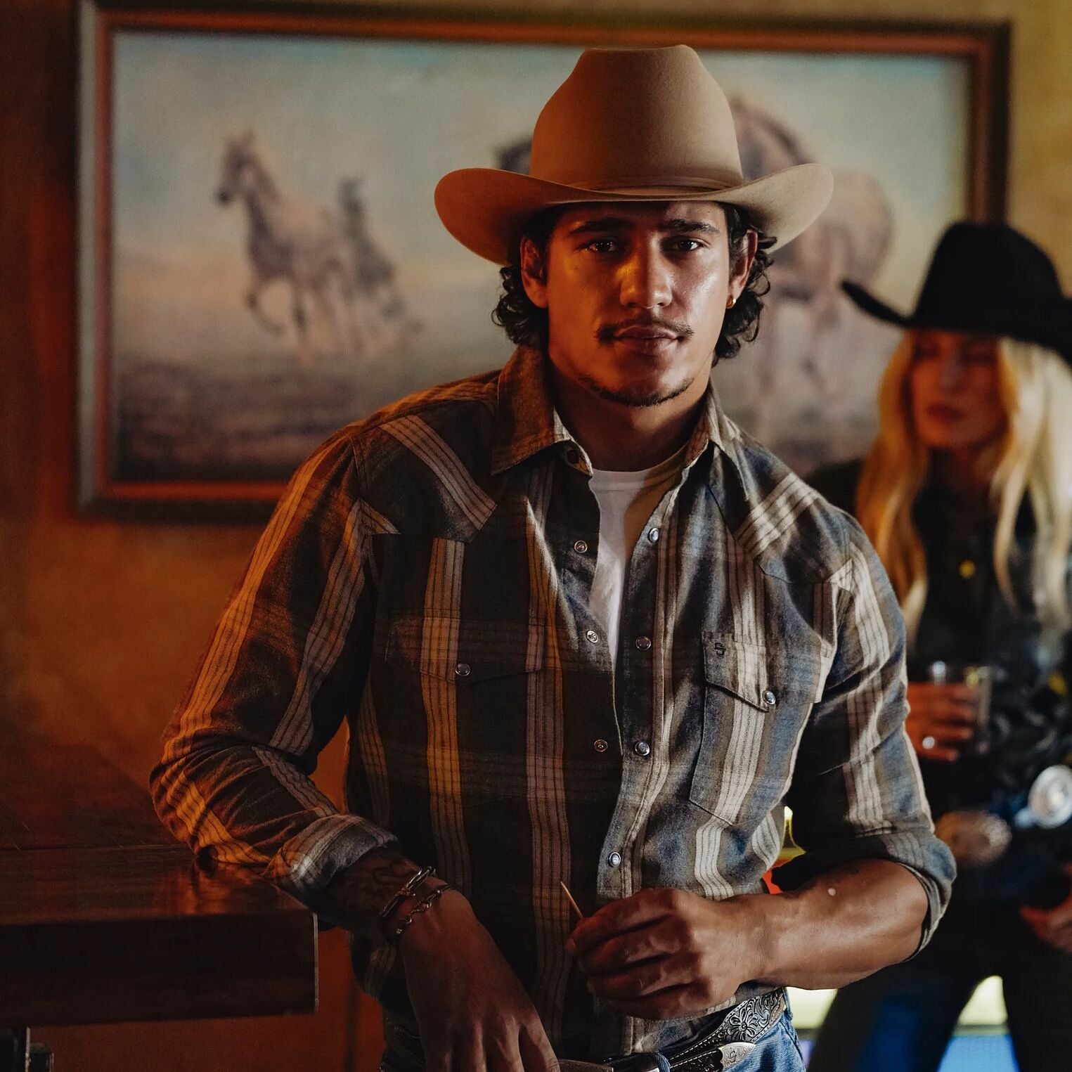 Heather Plaid Western Shirt - Image 2