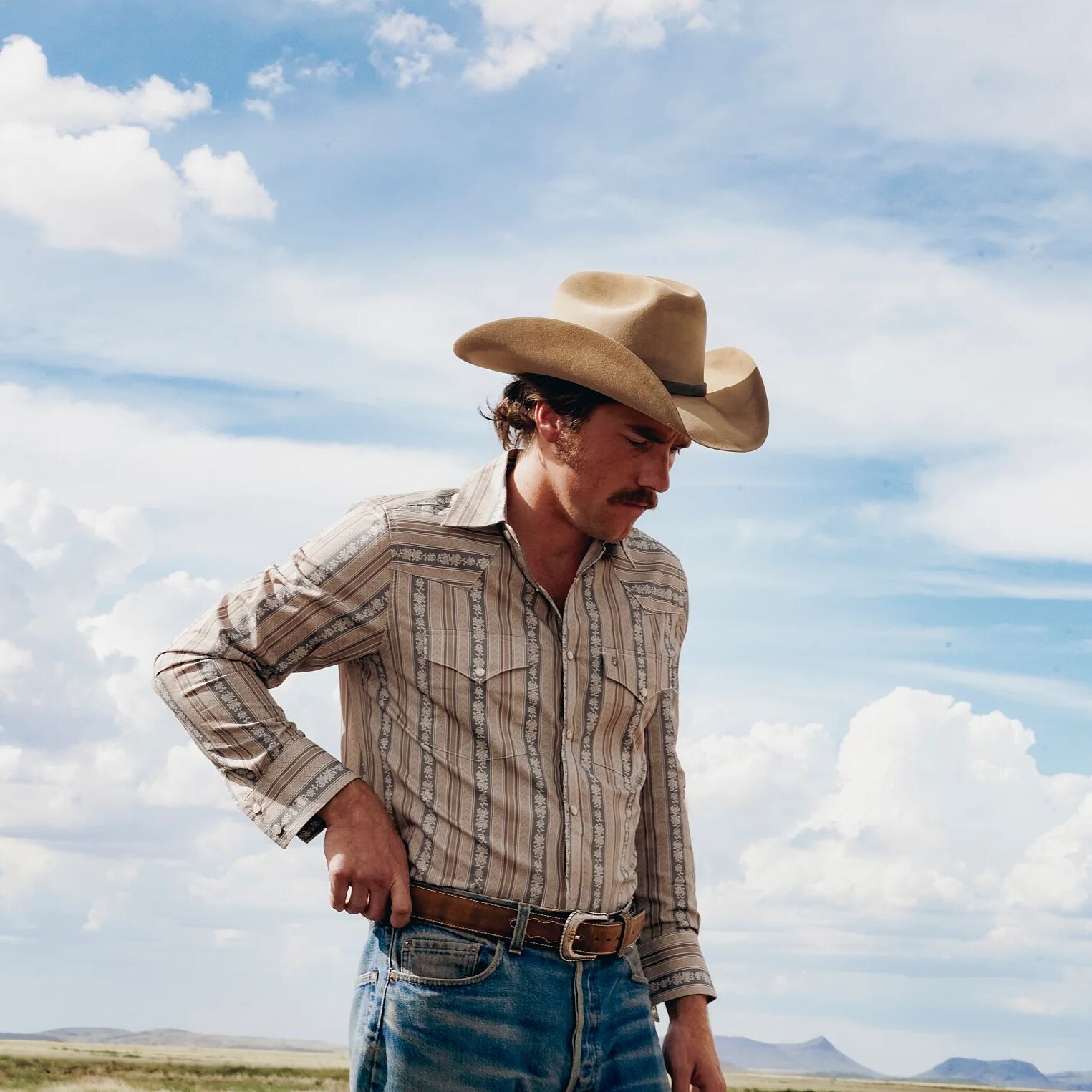 Chevron Stripe Western Shirt - Image 3