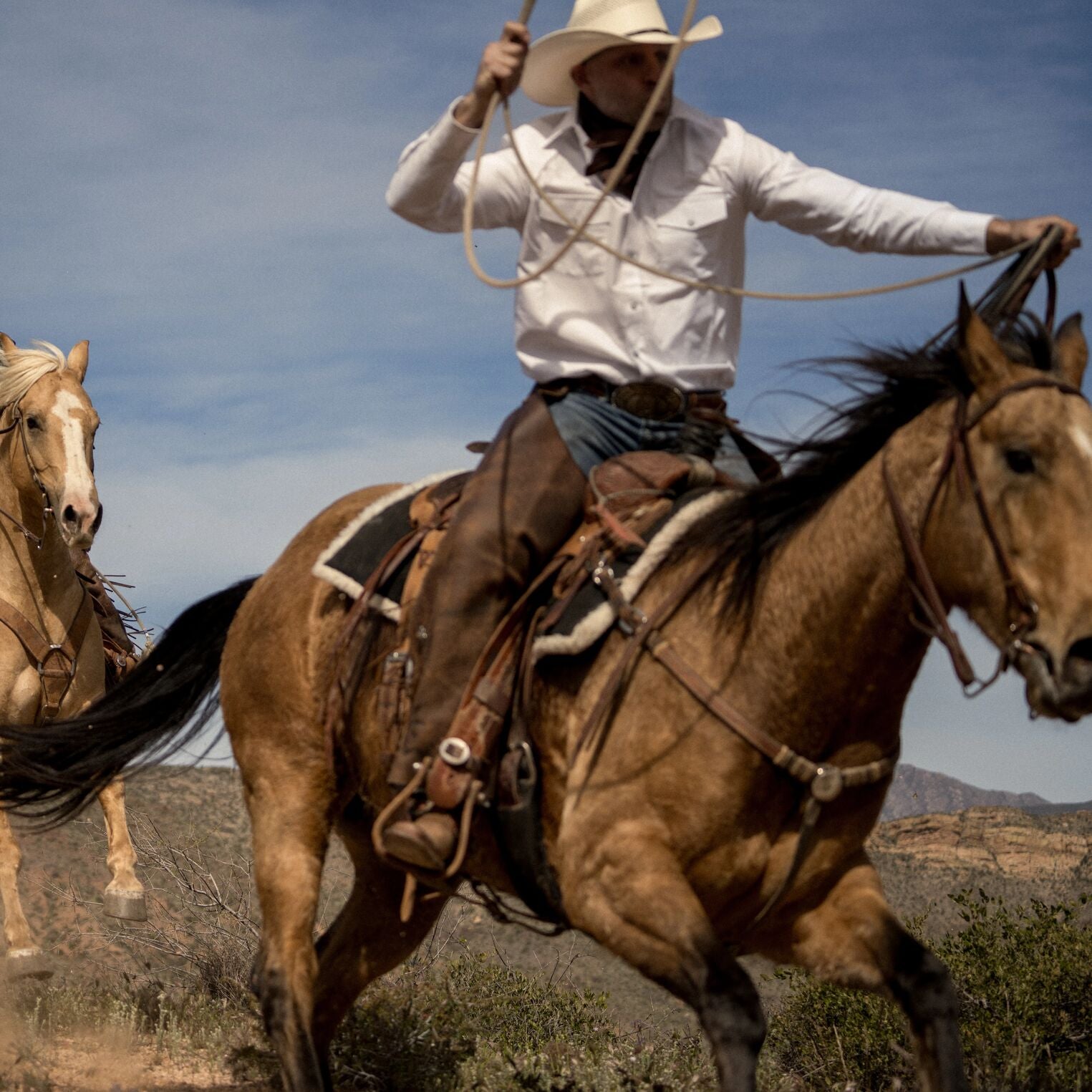White Oxford Western Shirt - Image 3